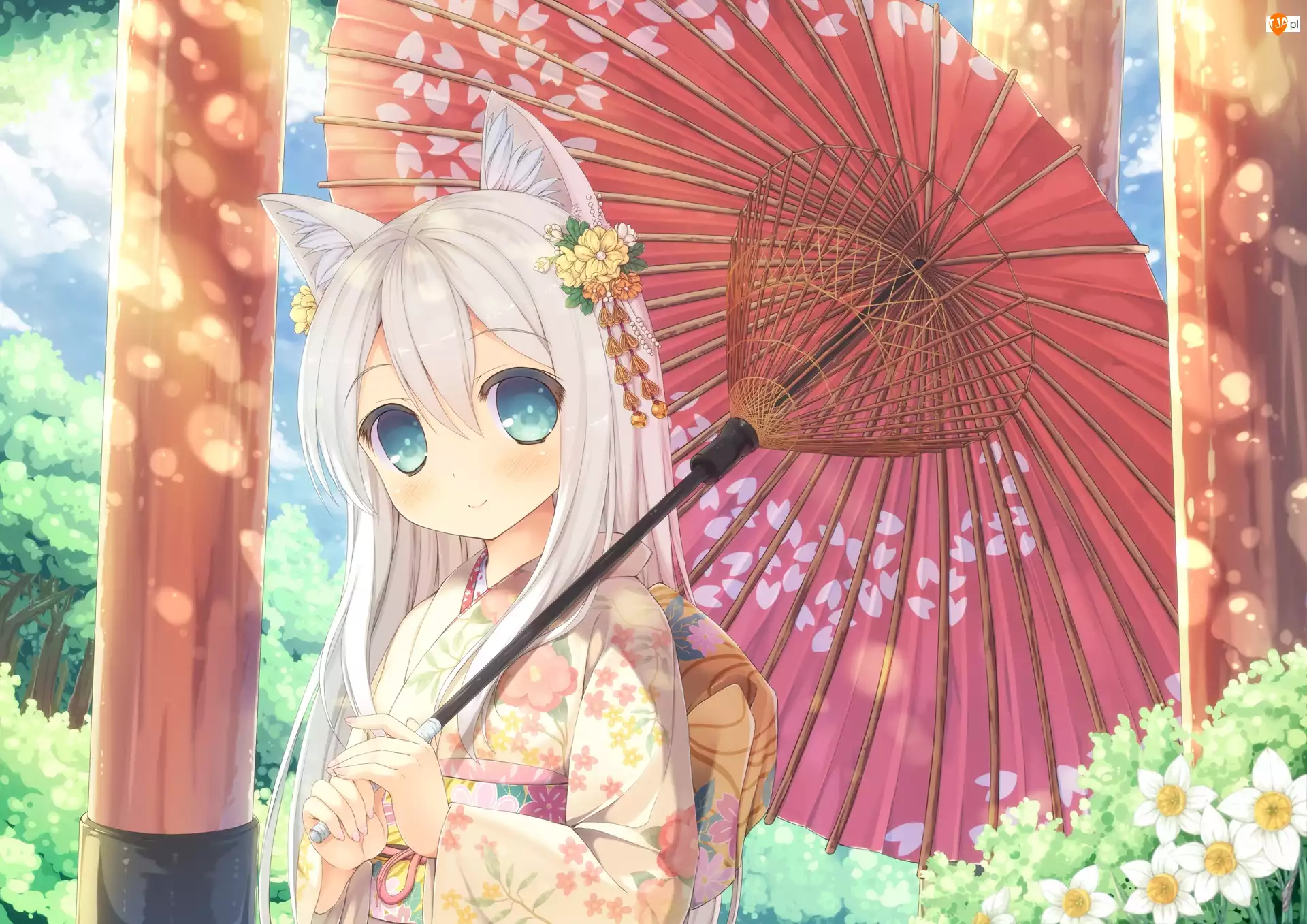 Parasolka, Dziewczyna, Manga Anime
