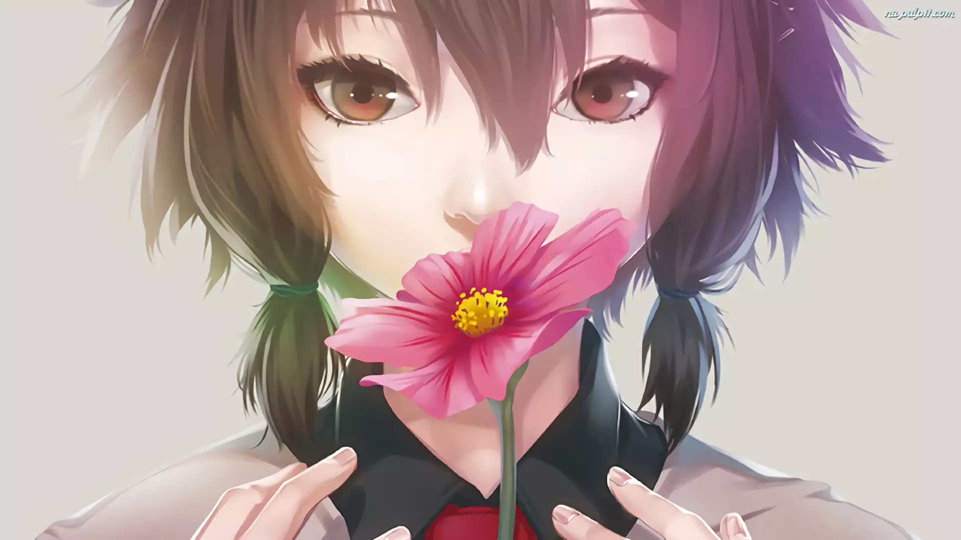 Dziewczyna, Anime, Kwiat, Manga