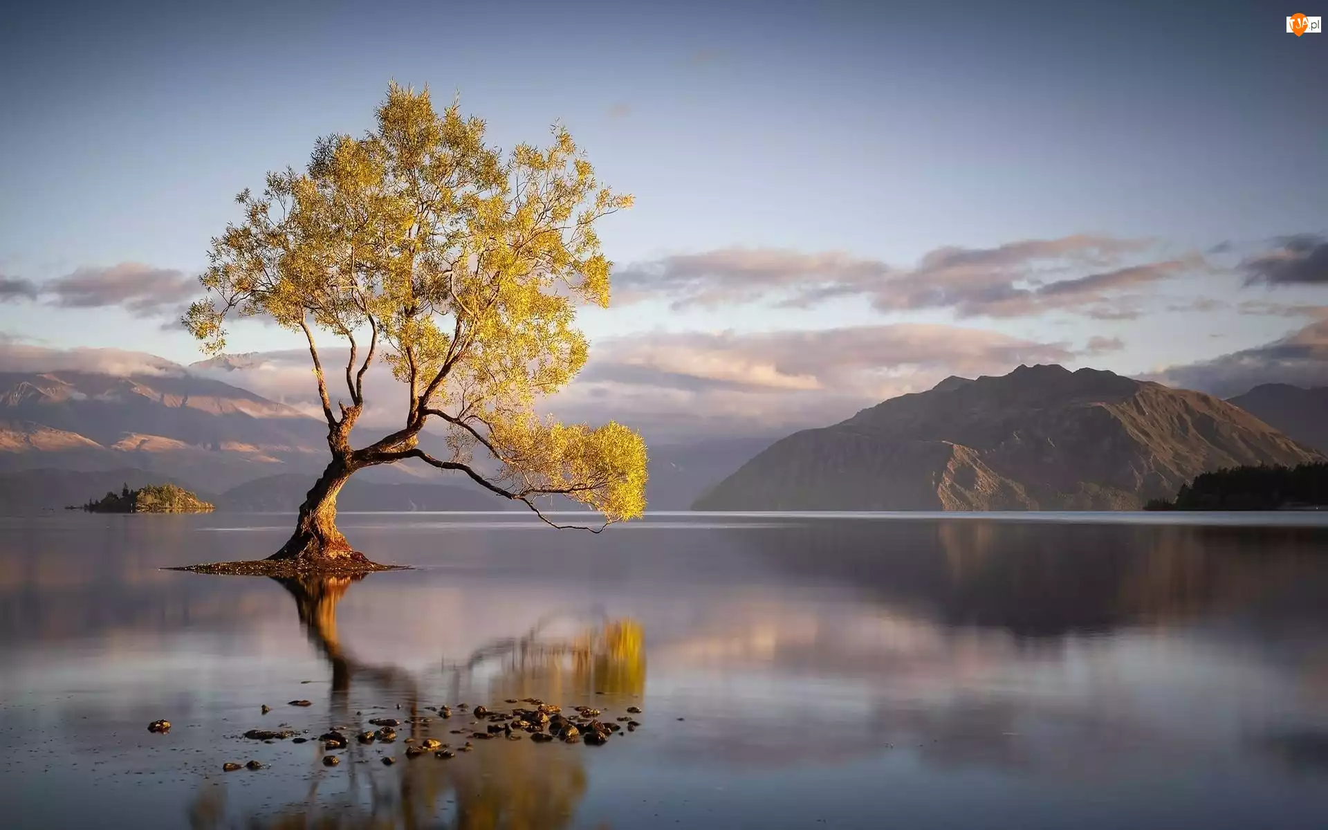 Góry, Odbicie, Jezioro Wanaka, Nowa Zelandia, Drzewo