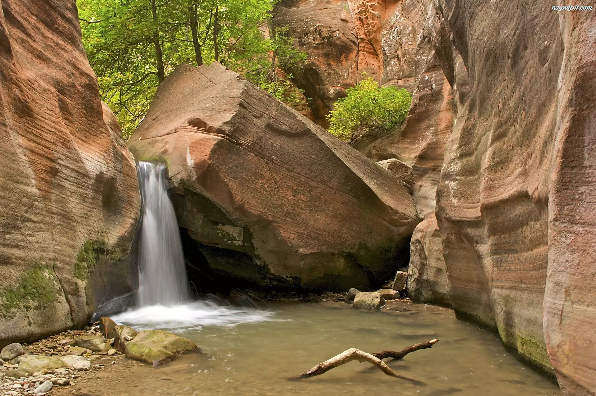 Wodospad, Zion National Park Utah, USA