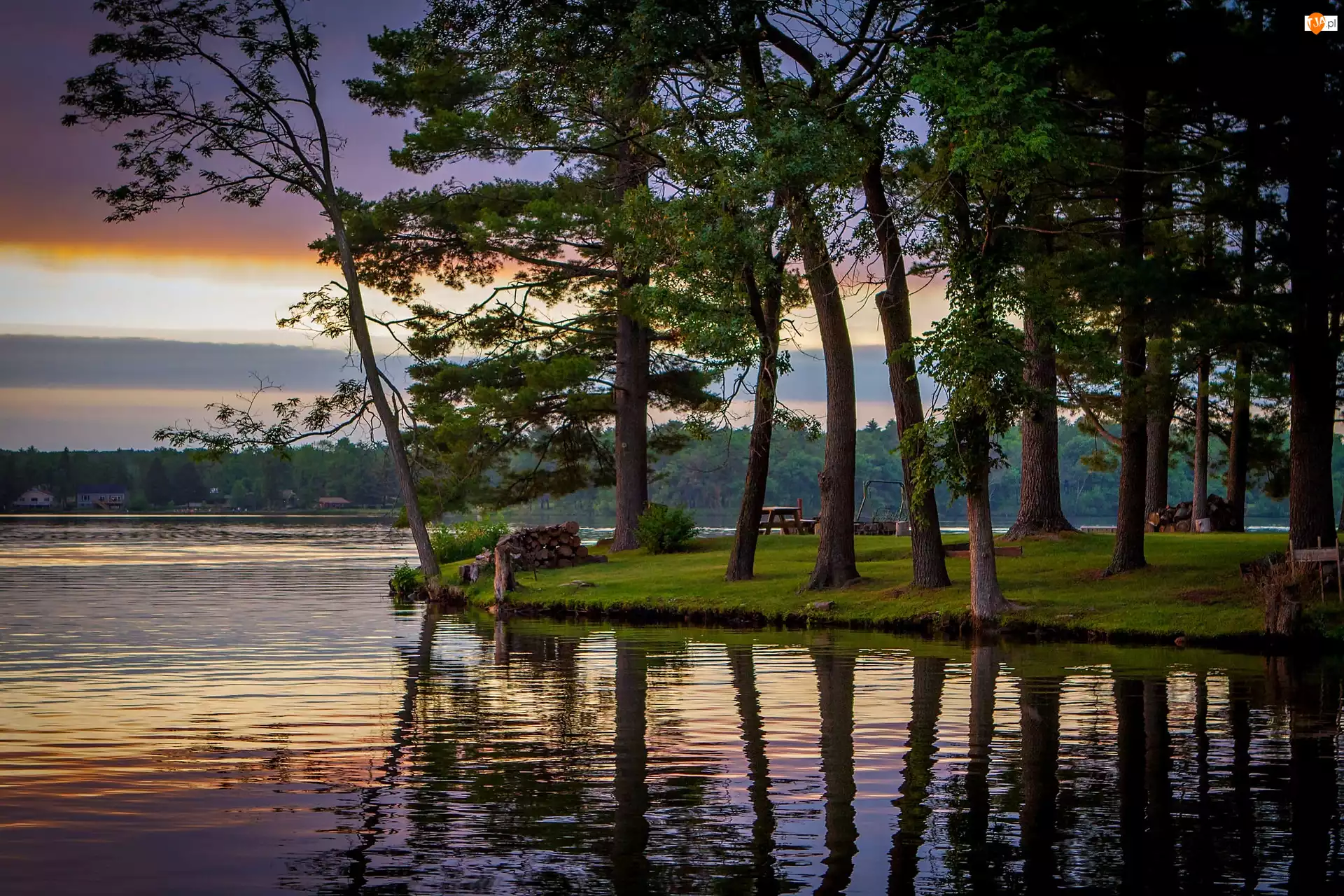 Jezioro Delton, Odbicie, Wisconsin, Drzewa