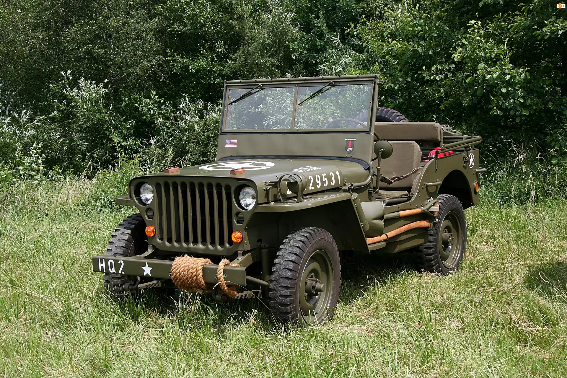 Jeep, Zabytkowy, Wojskowy