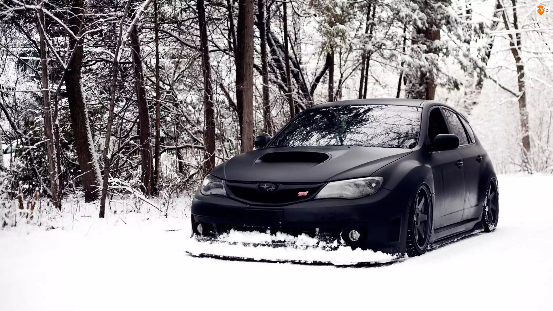 Las, Czarny, Subaru, Samochód, Śnieg