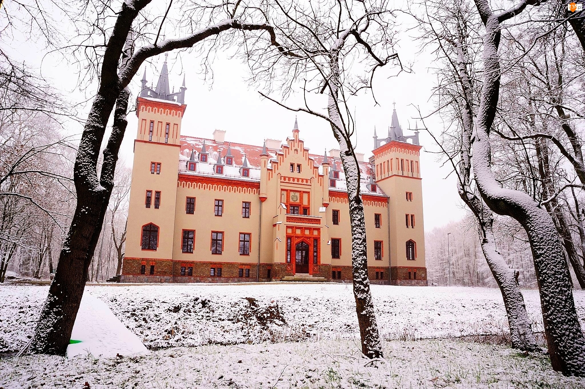 Drzewa, Pałac, Śnieg