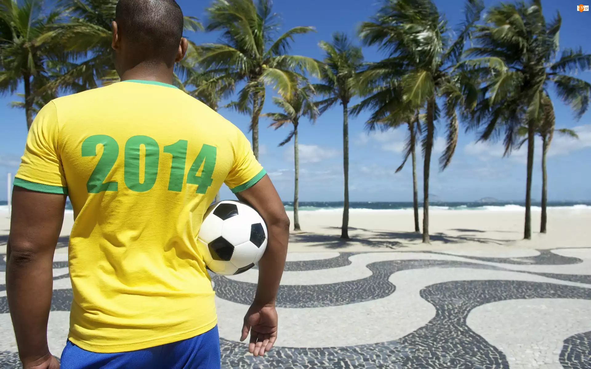 Świata, Brazylia, Piłka, Mężczyzna, 2014, Palmy, Mistrzostwa