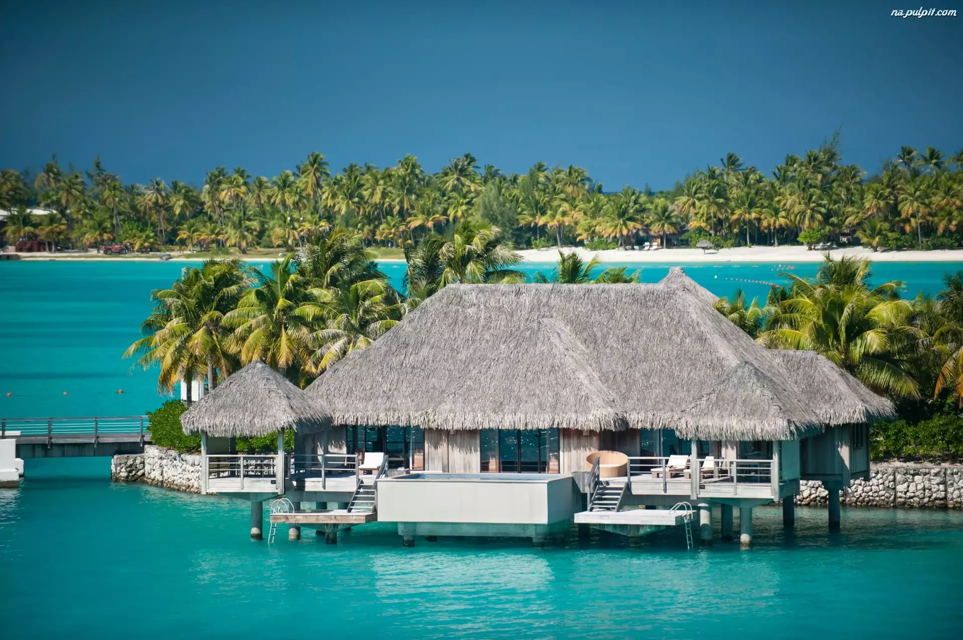 Palmy, Bora Bora, Hotel, St.Regis, Ocean
