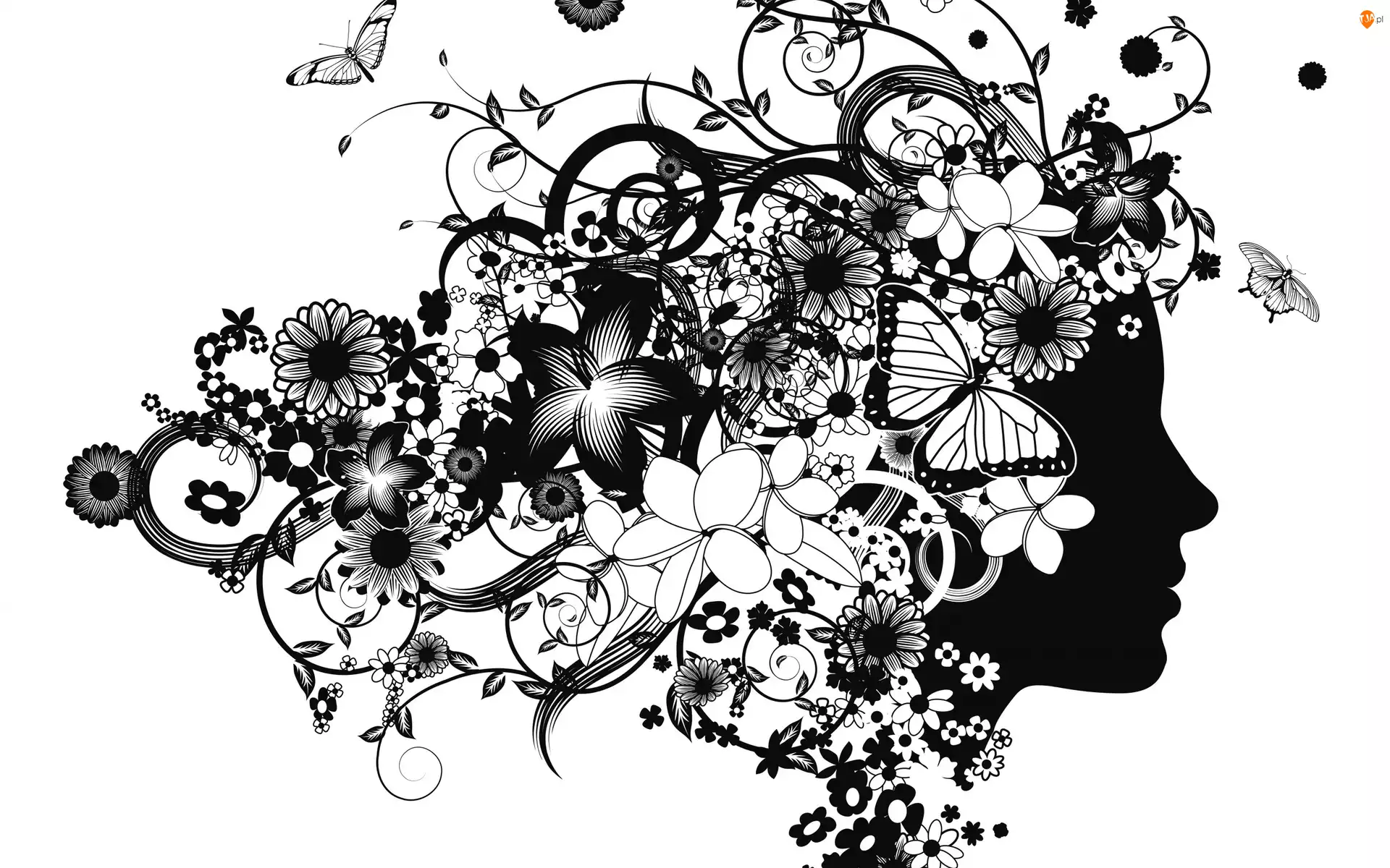 Kobieta, Grafika, Motyle, Kwiatki