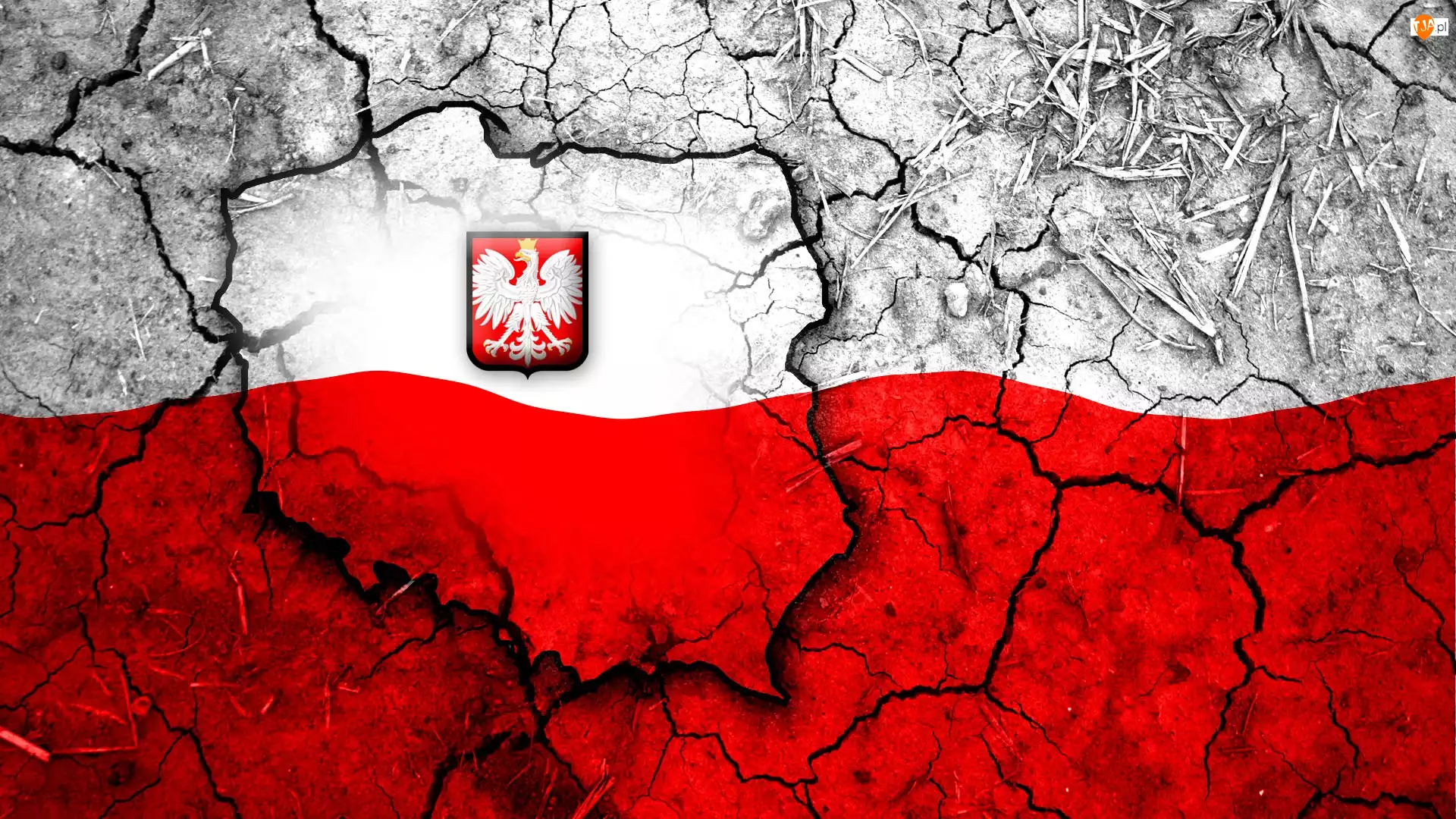 Flaga, Grafika, Godło, Polska, Mapa