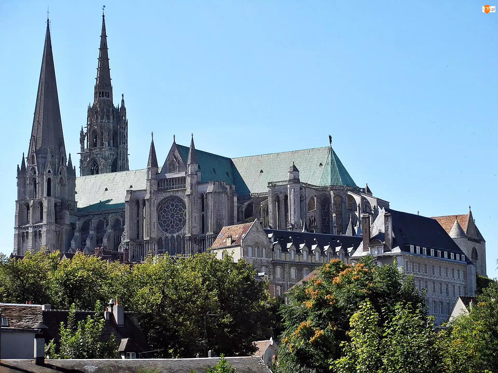 Drzewa, Chartres, Katedra, Domy