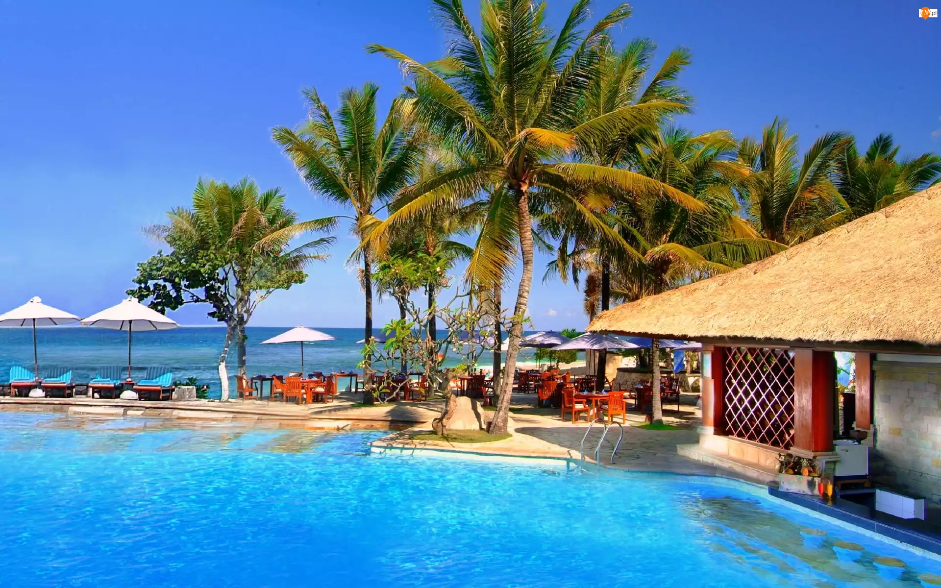 Palmy, Bali, Morze, Hotel, Basen