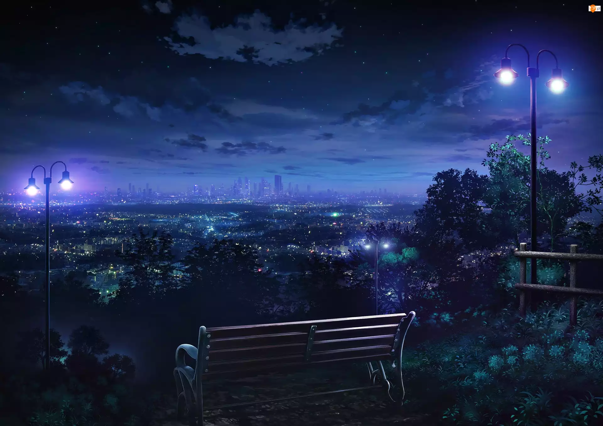Ławka, Noc, Światła, Panorama miasta