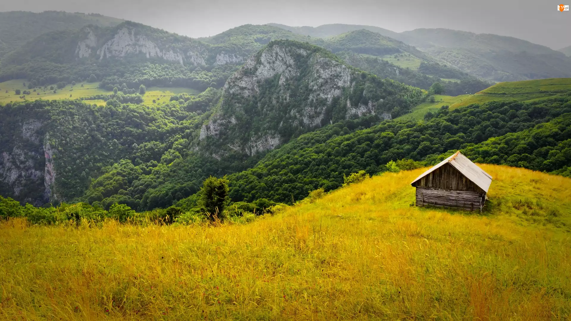 Lasy, Chatka, Góry, Rumunia, Drewniana