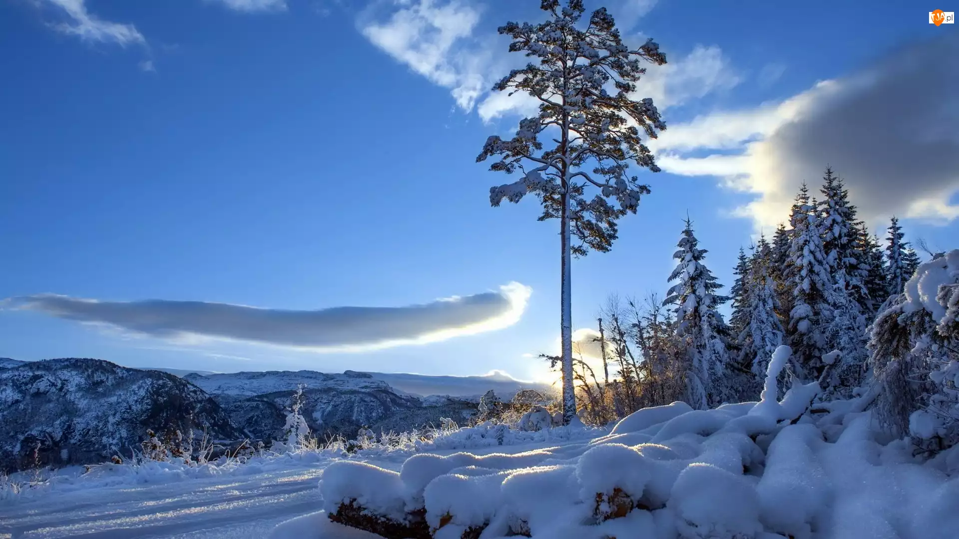 Zima, Góry, Śnieg, Drzewa