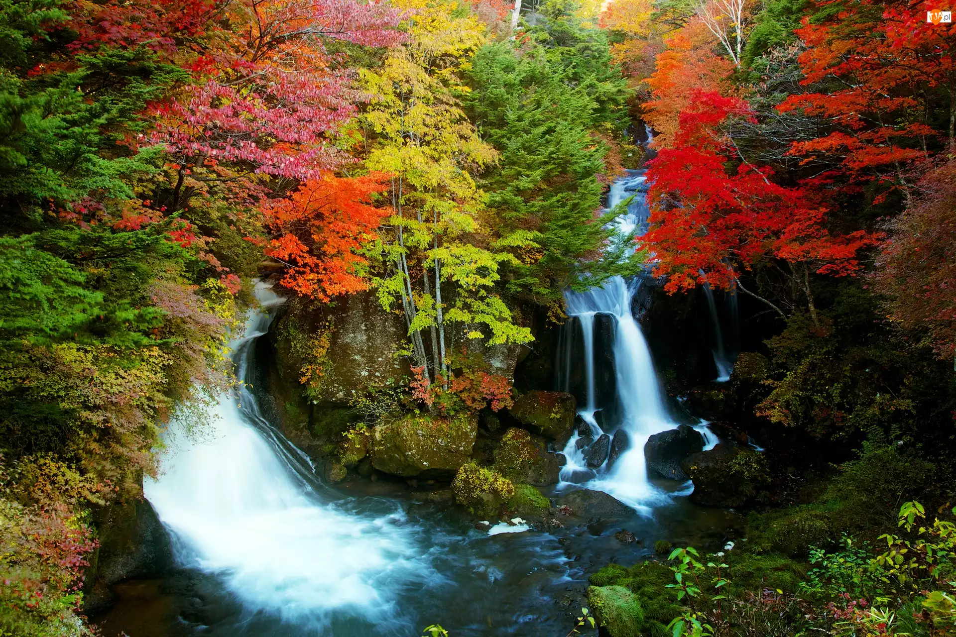 Wodospady, Jesień, Drzewa