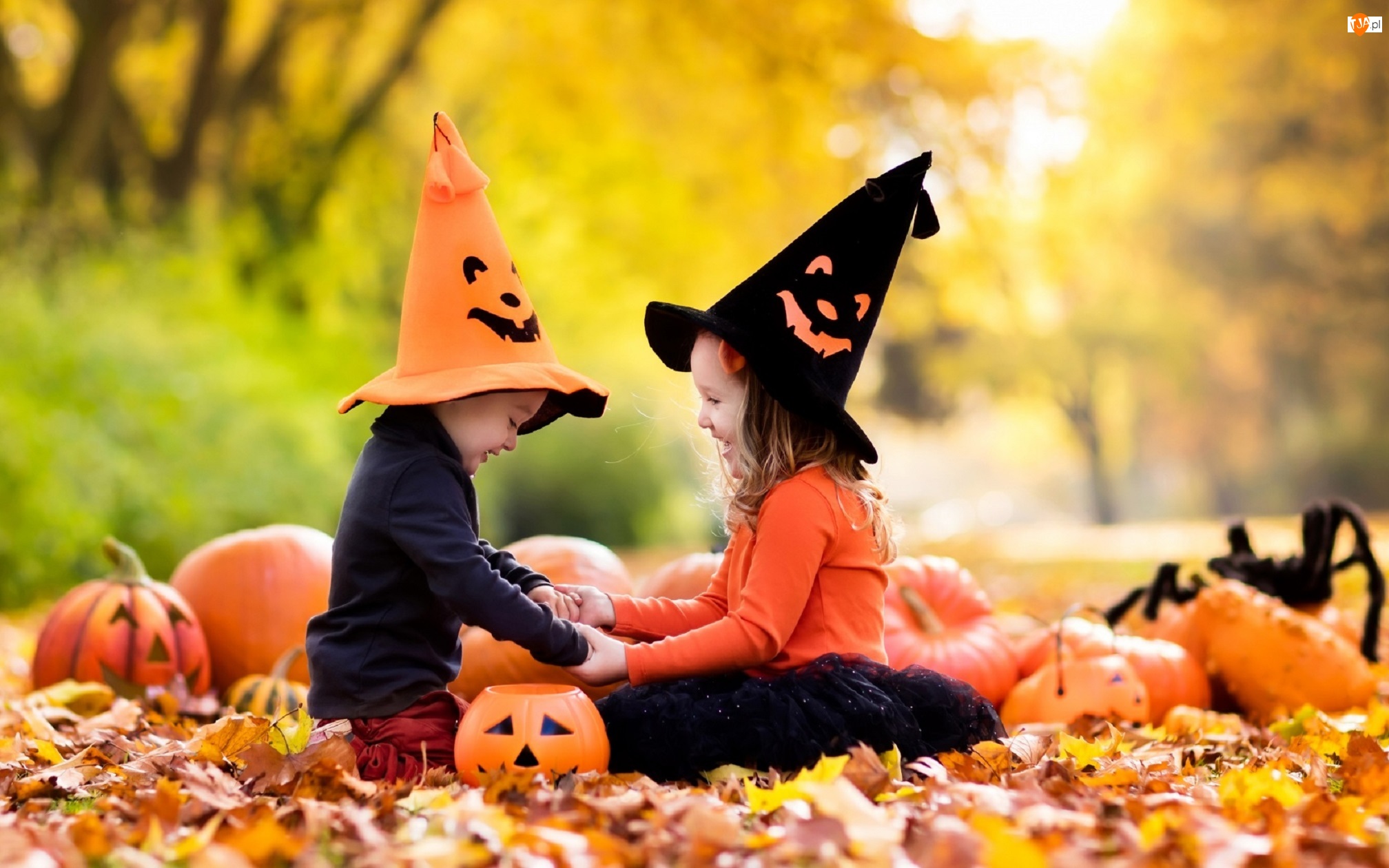 Halloween, Czapki, Park, Jesień, Liście, Dzieci, Dynie