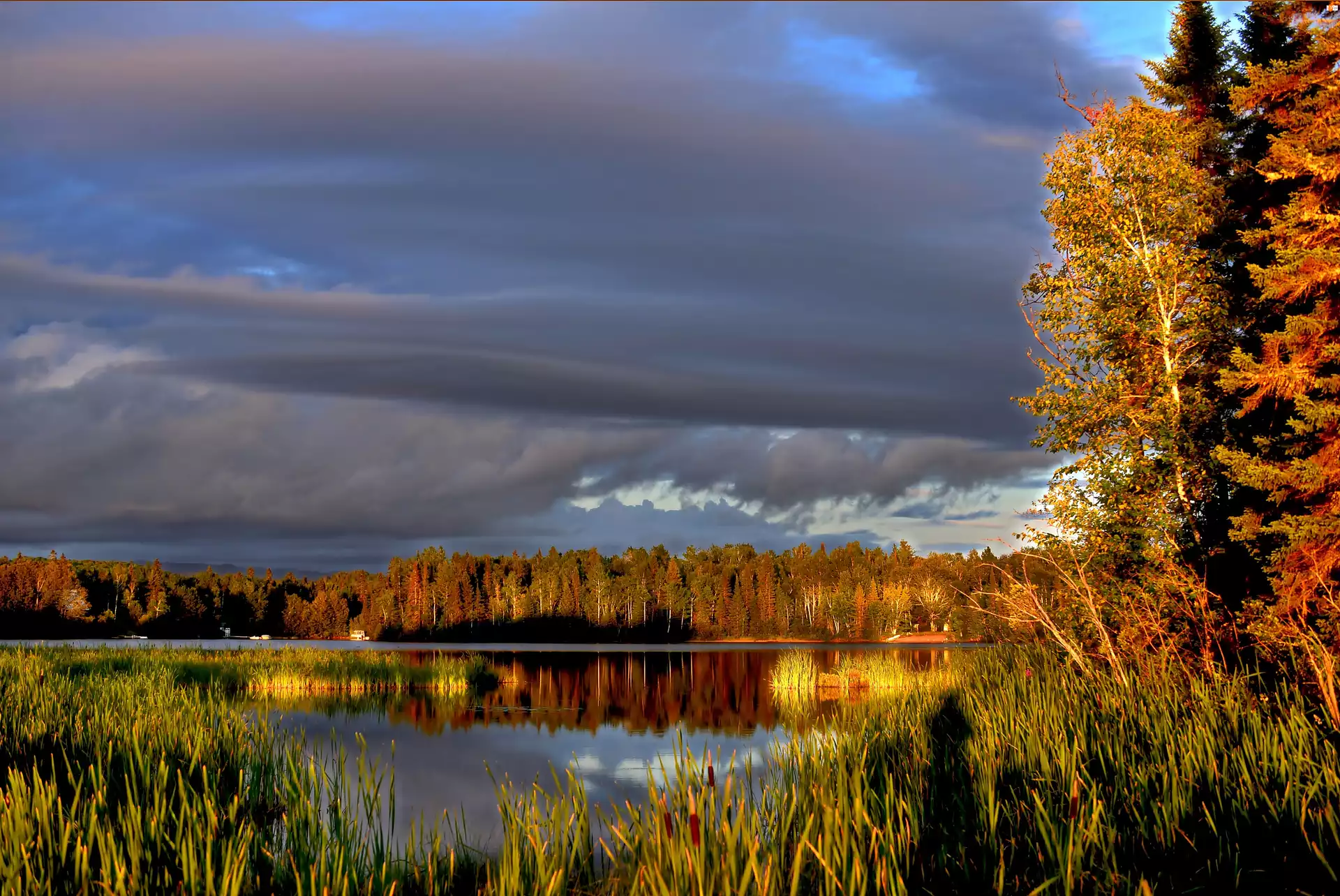 Drzewa, Jezioro, Chmury, Odbicie, Jesień