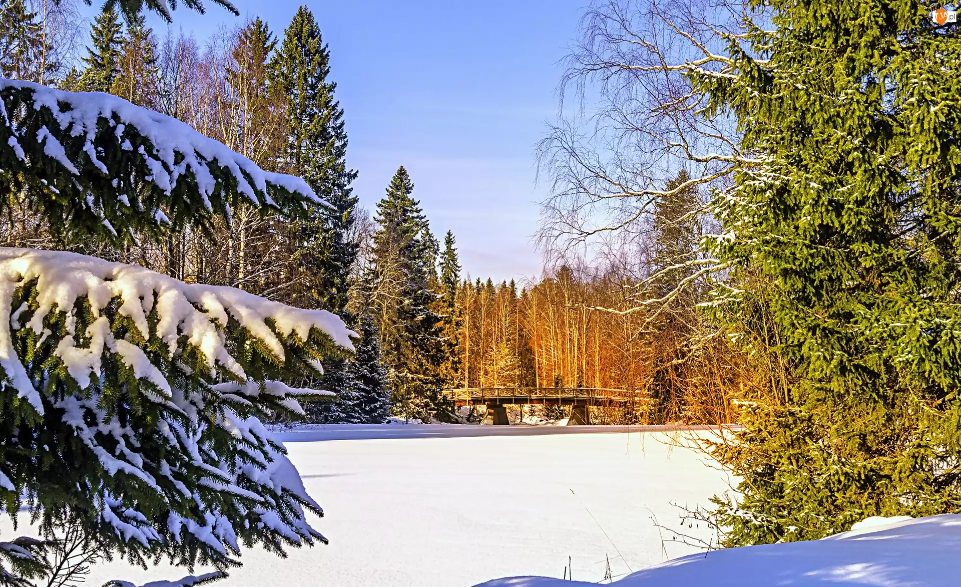 Томск природа зима
