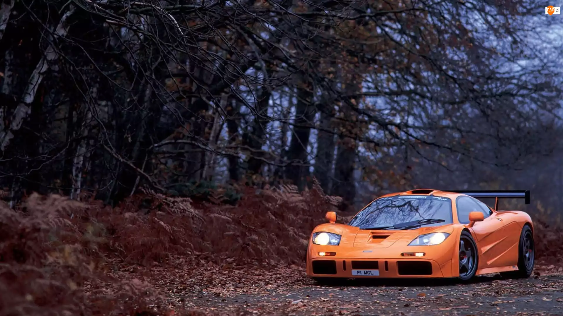 Samochód McLaren F1 na ścieżce w jesiennym lesie