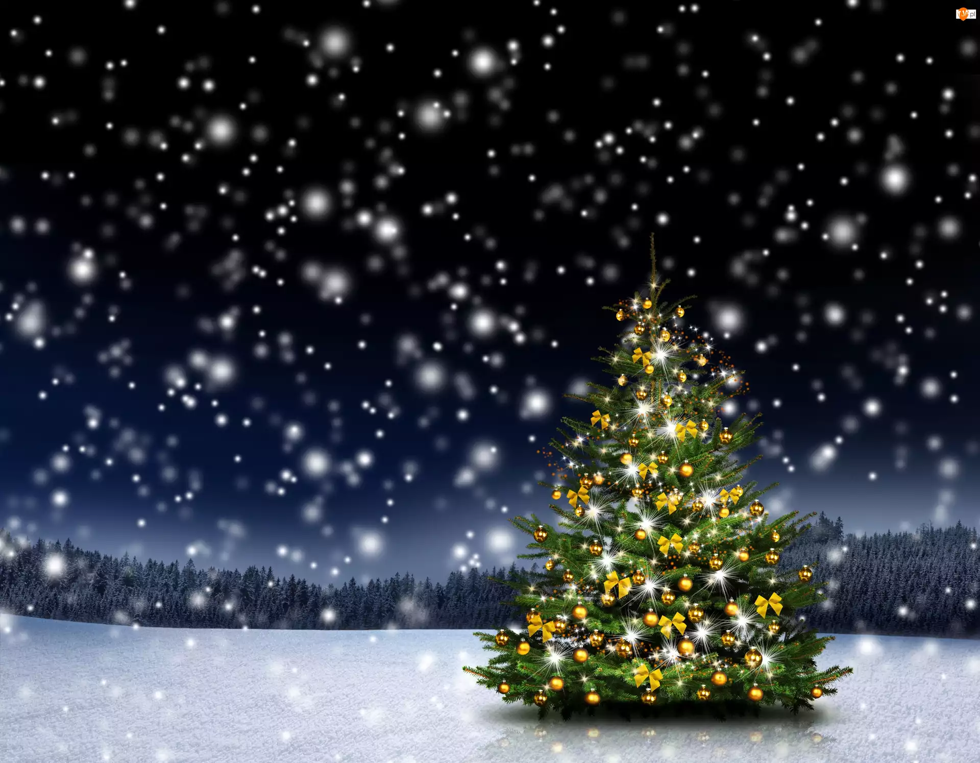 Boże Narodzenie, Dekoracja, Śnieg, Zima, Choinka