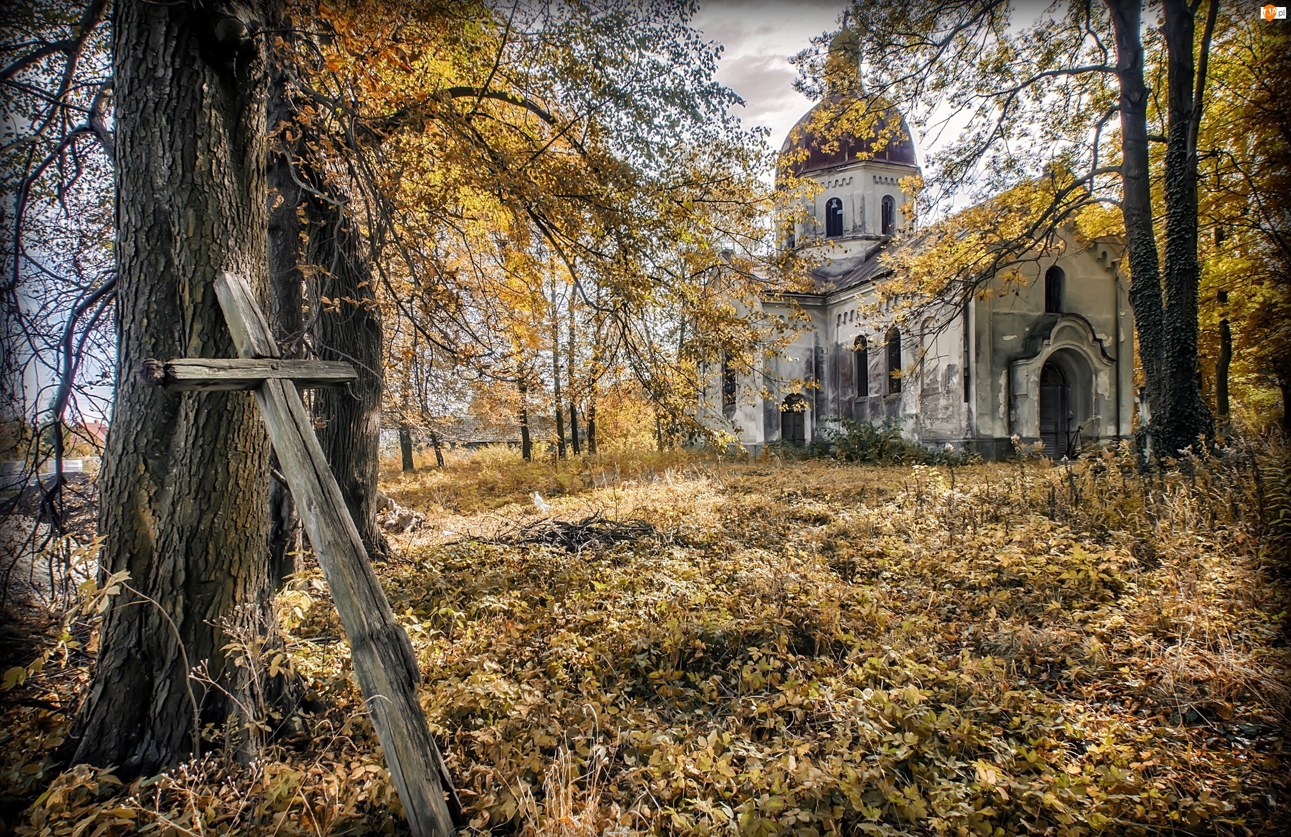 Drzewa, Cerkiew, Jesień