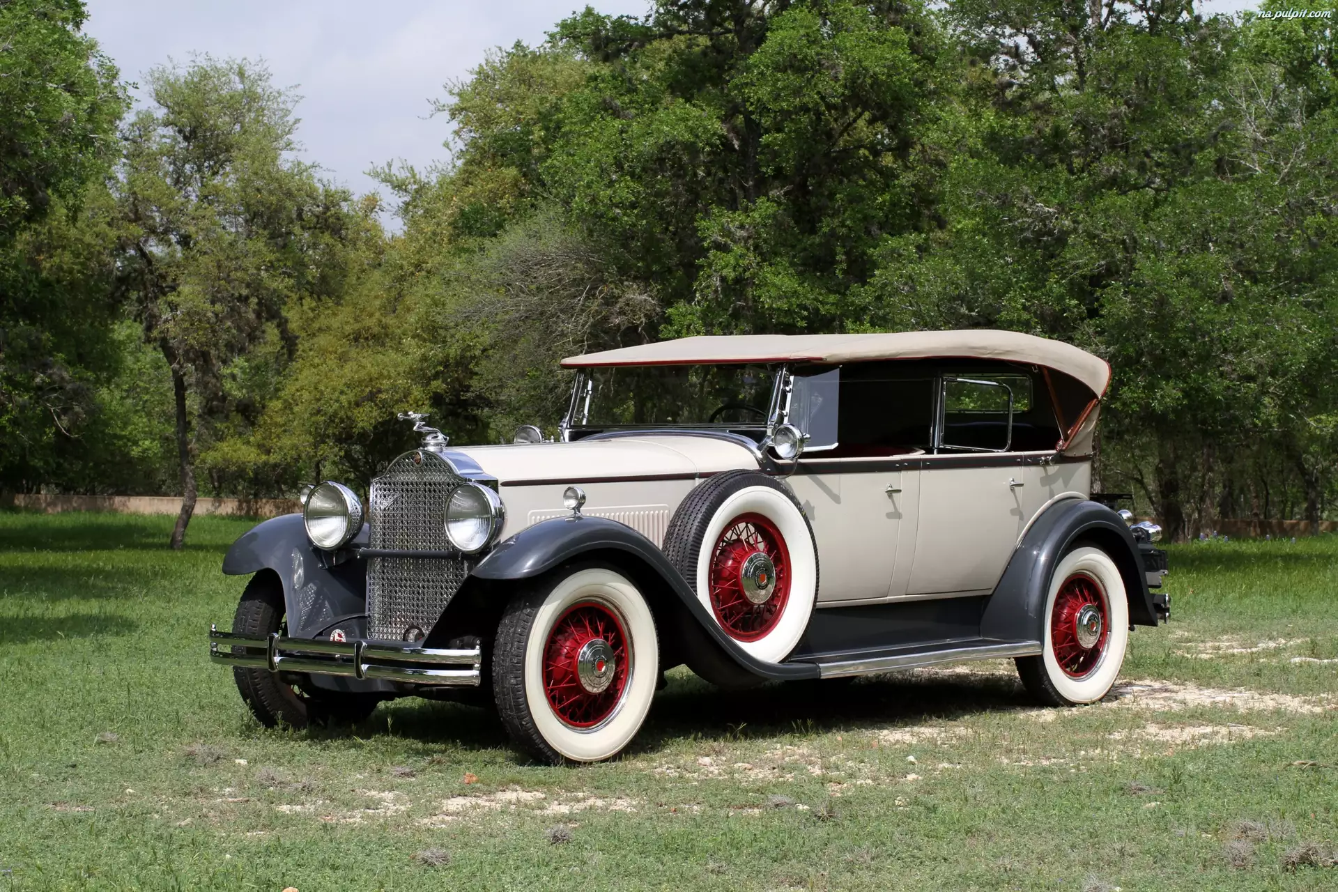 1931, Packard Standard 8 Convertible Coupe