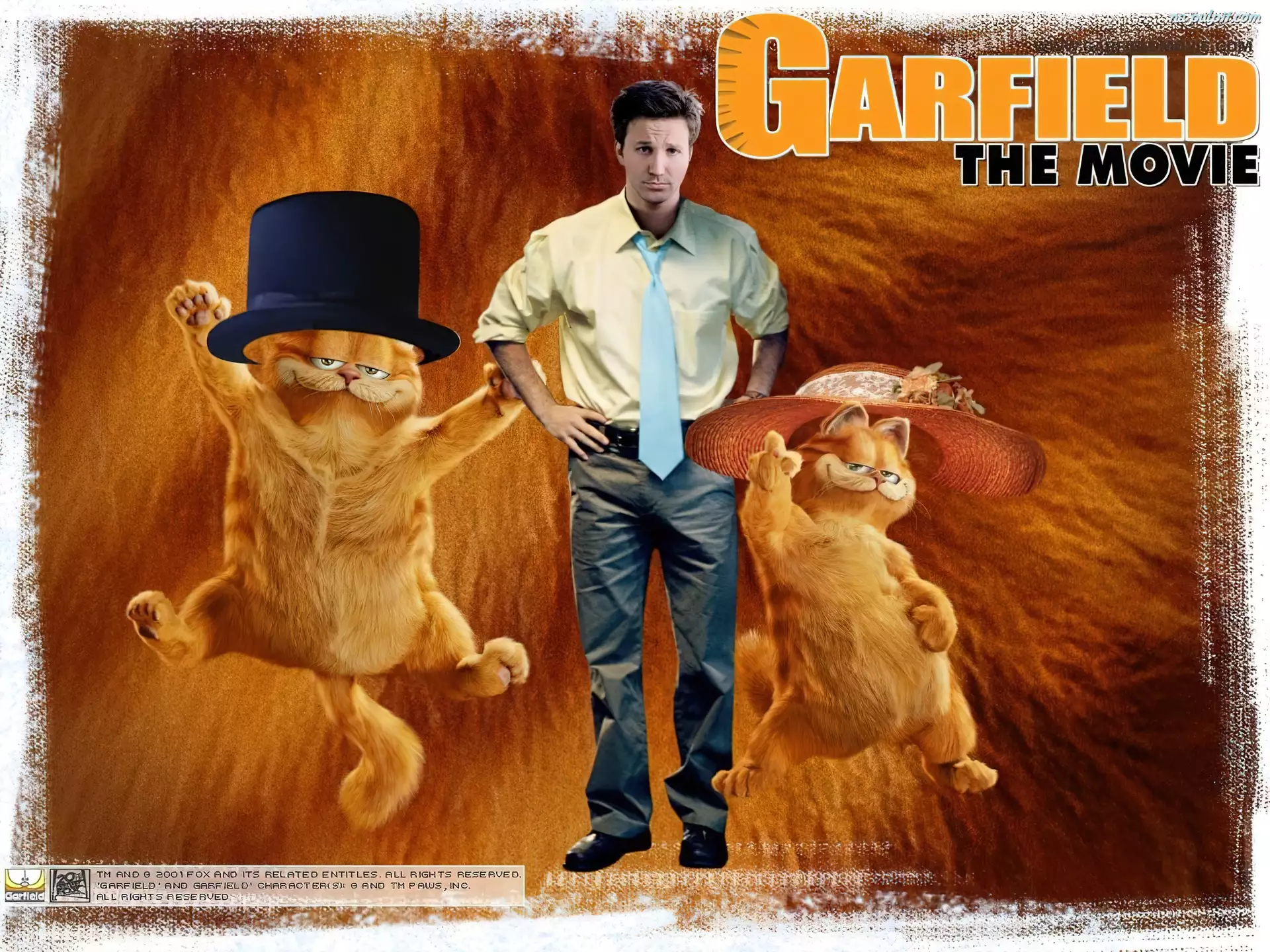 Reklamówka, Garfield