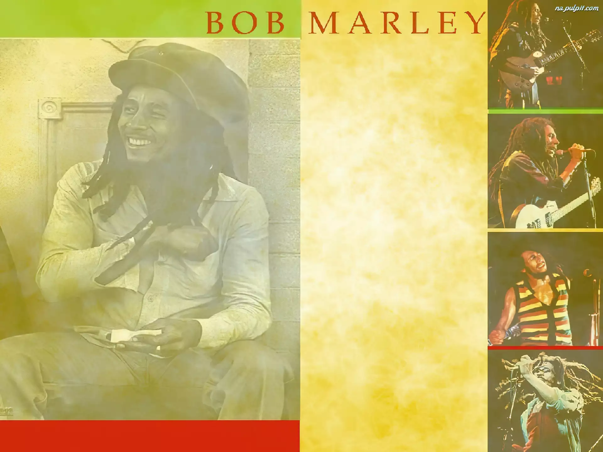 Mikrofon, Bob Marley, Gitara