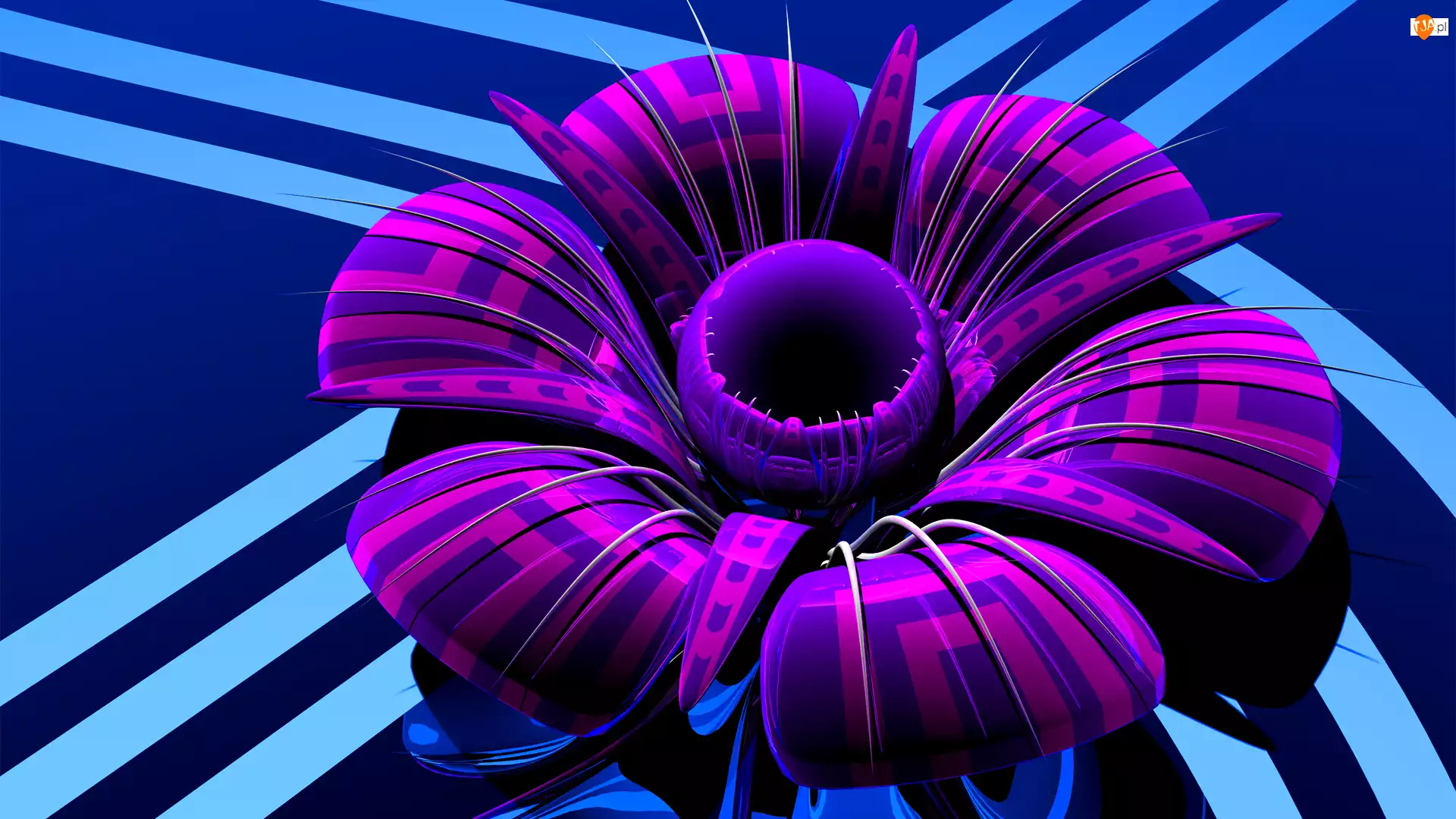 Kwiat, Grafika 3D
