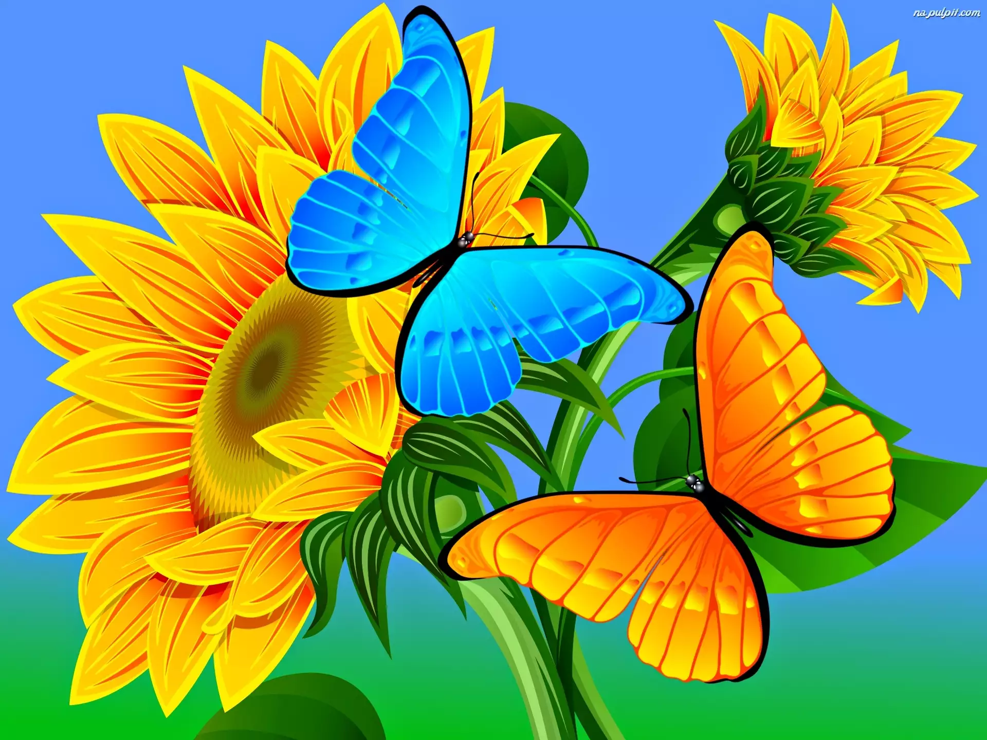 Grafika 2D, Słoneczniki, Motyle