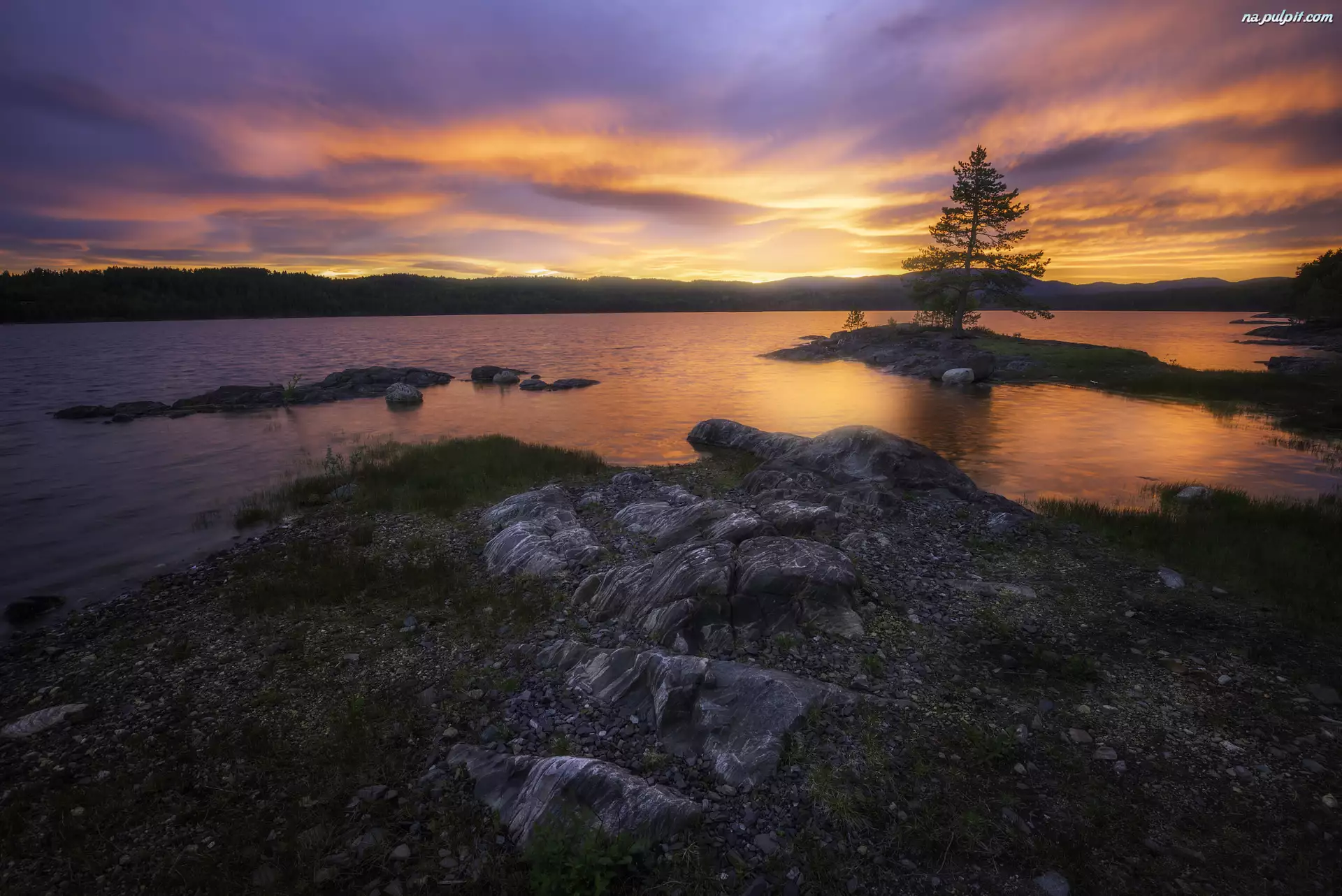 Drzewo, Norwegia, Zachód słońca, Jezioro, Skały