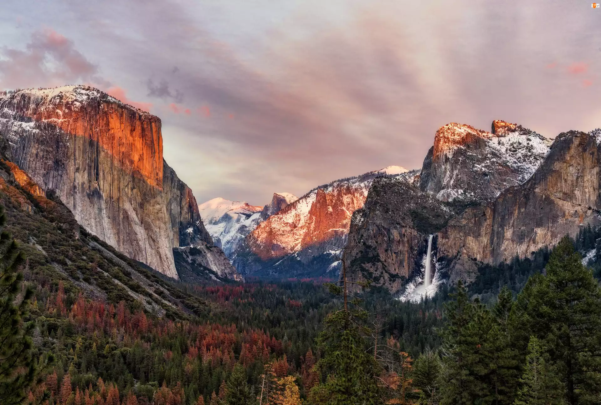 Park Narodowy Yosemite, Las, Stany Zjednoczone, Drzewa, Kalifornia, Góry