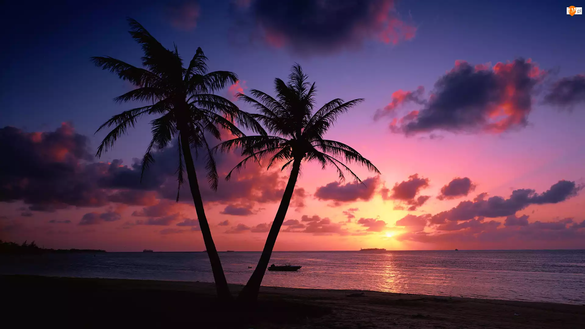 Zachód Słońca, Morze, Palmy