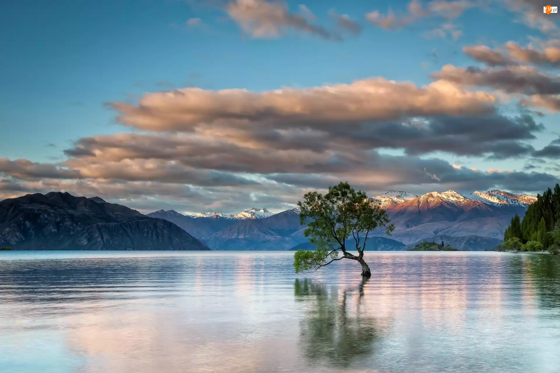 Góry, Chmury, Jezioro Wanaka, Nowa Zelandia, Drzewo