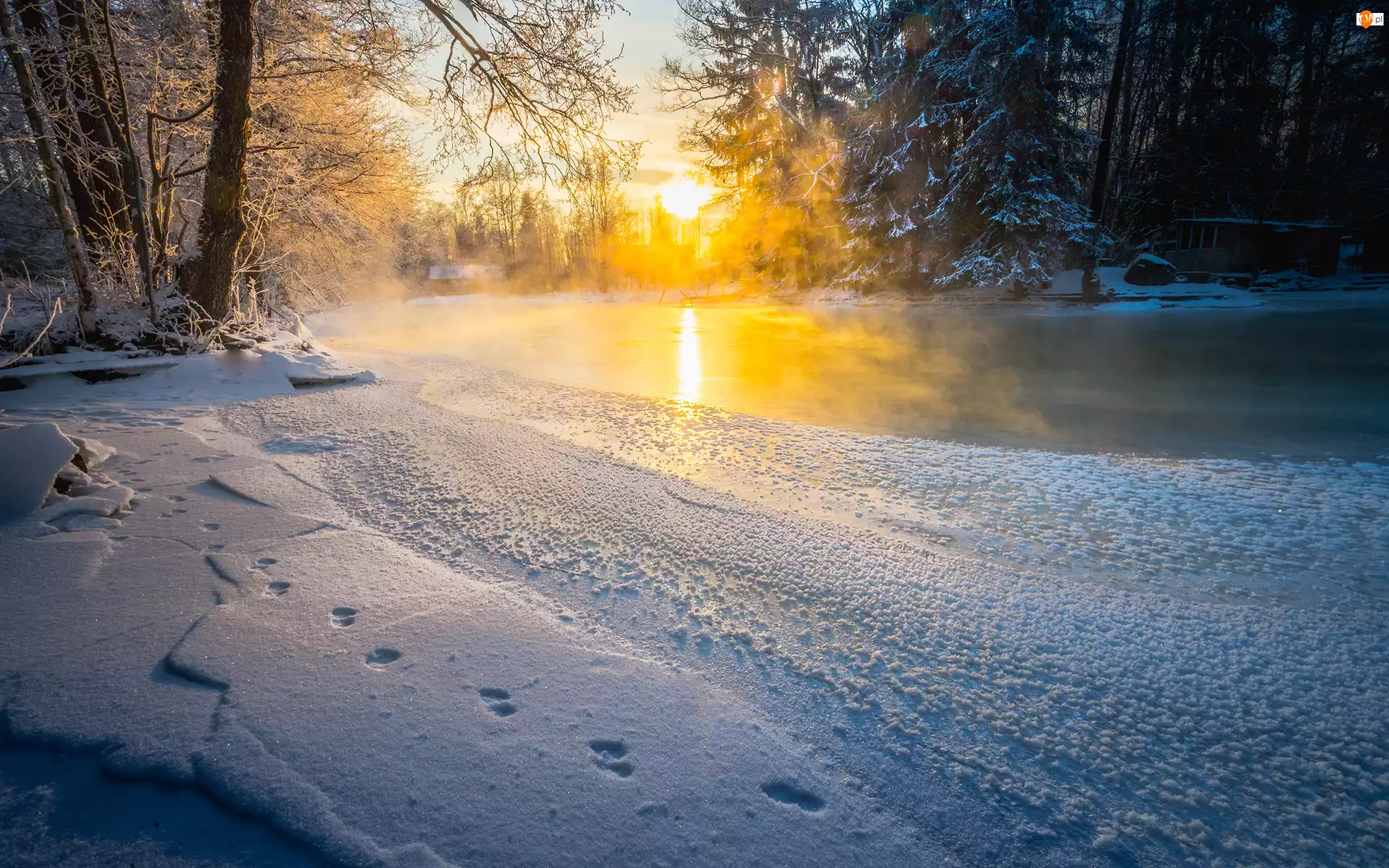 Zima, Finlandia, Drzewa, Potok Langinkoski, Wschód słońca, Rzeka