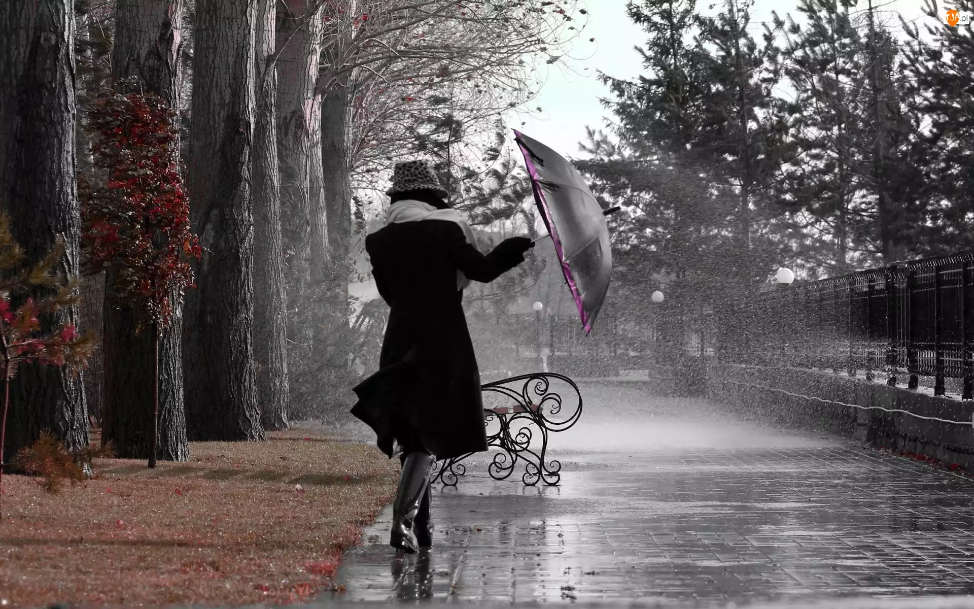 Kobieta, Park, Parasol, Deszcz