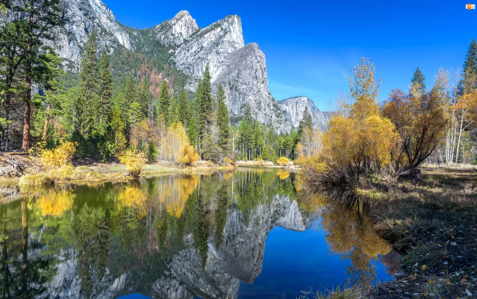 Kalifornia, Góry, Stany Zjednoczone, Drzewa, Park Narodowy Yosemite, Jezioro