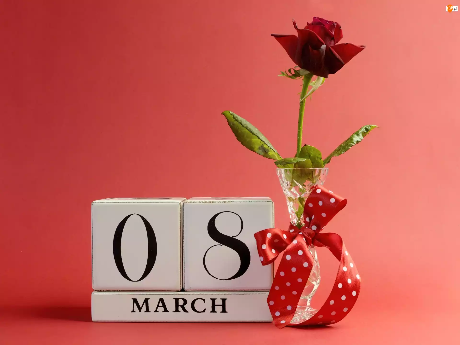 8 Marca, Róża, Dzień, Kobiet