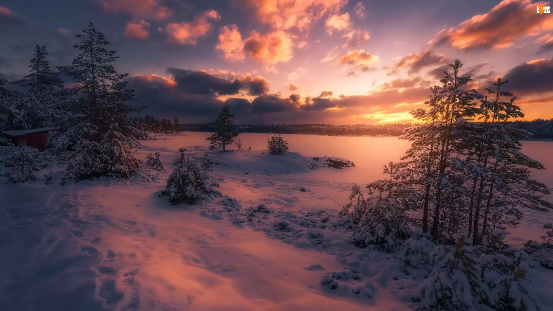 Śnieg, Zima, Jezioro, Drzewa, Zachód słońca
