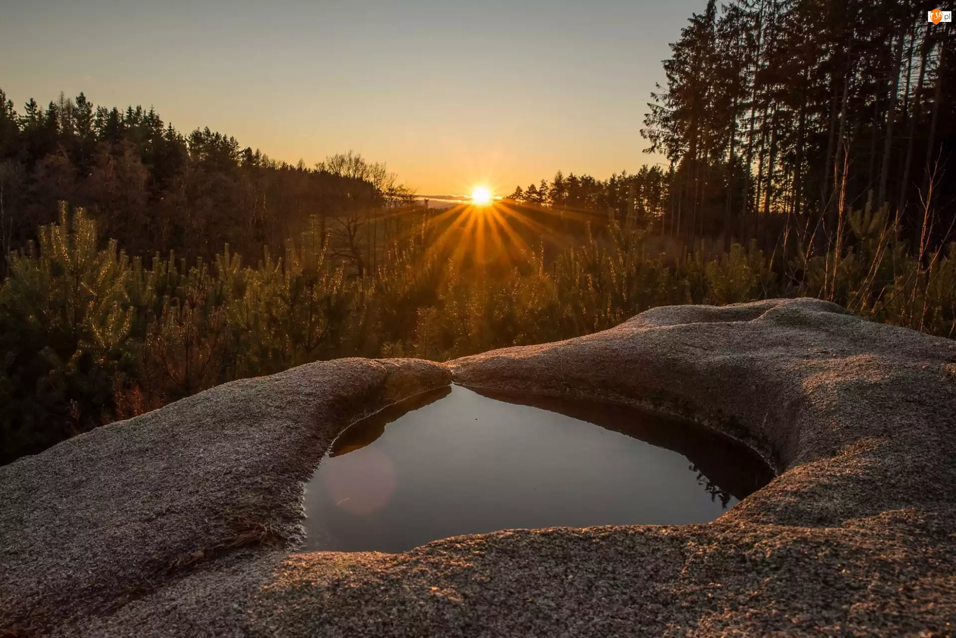 Las, Czechy, Wschód słońca
