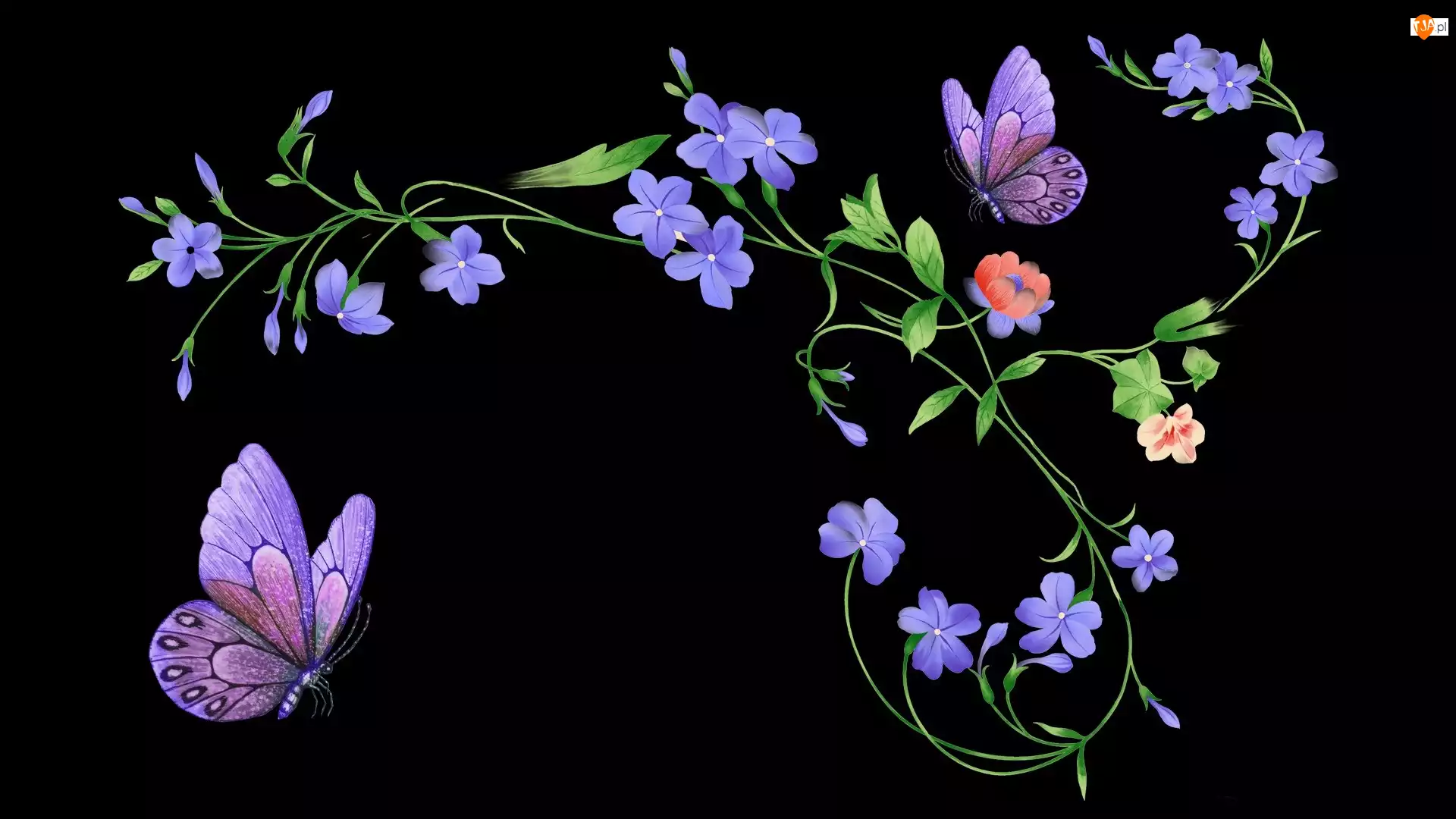 Grafika 2D, Kwiaty, Motylki
