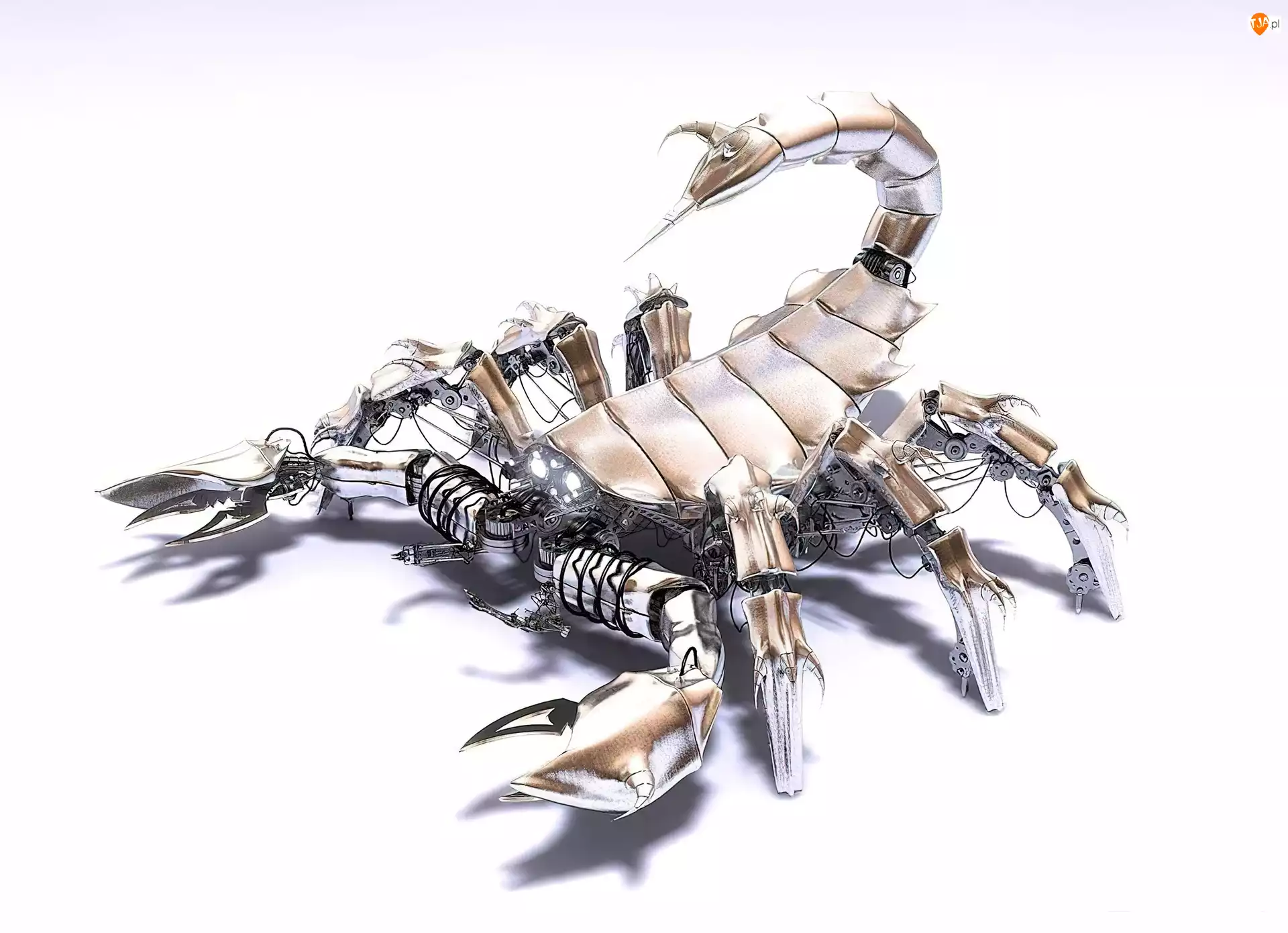 Skorpion, Robot