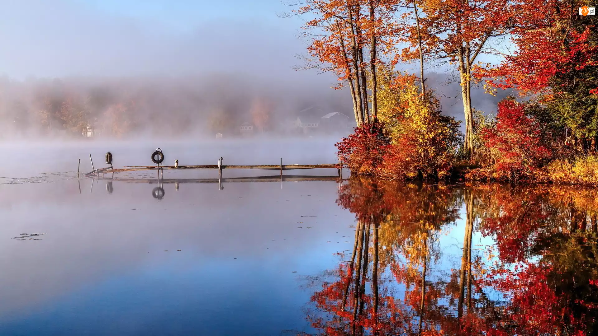 Drzewa, Jesień, Pomost, Jezioro, Mgła