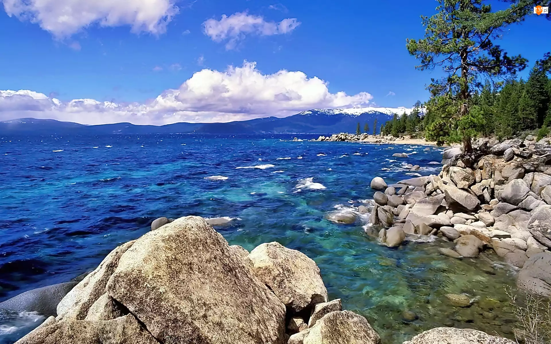 Tahoe, Las, Jezioro, Nevada, Głazy