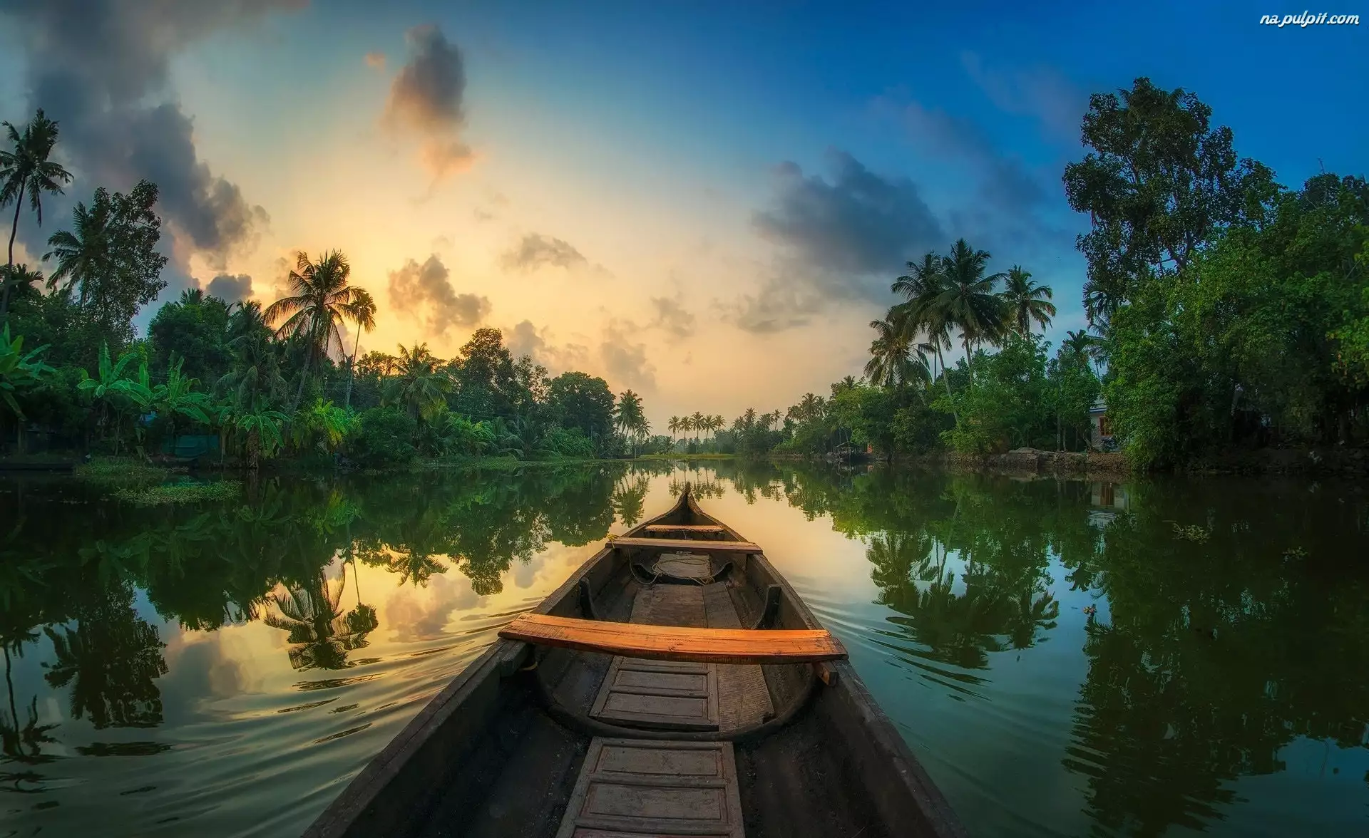 Dżungla, Indie, Łódka, Rozlewiska Kerali, Rzeka