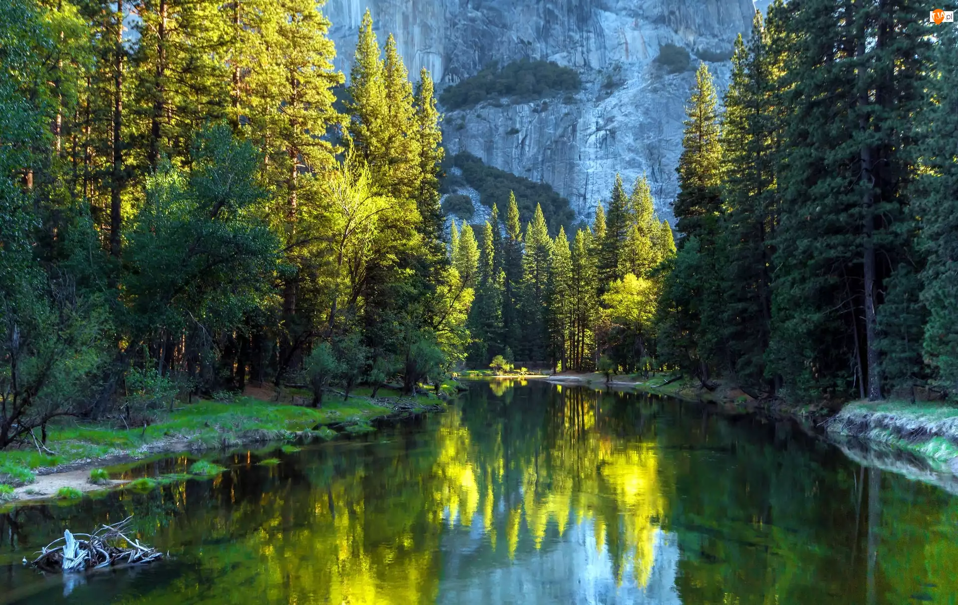 Stan Kalifornia, Stany Zjednoczone, Góry, Rzeka, Park Narodowy Yosemite, Lasy