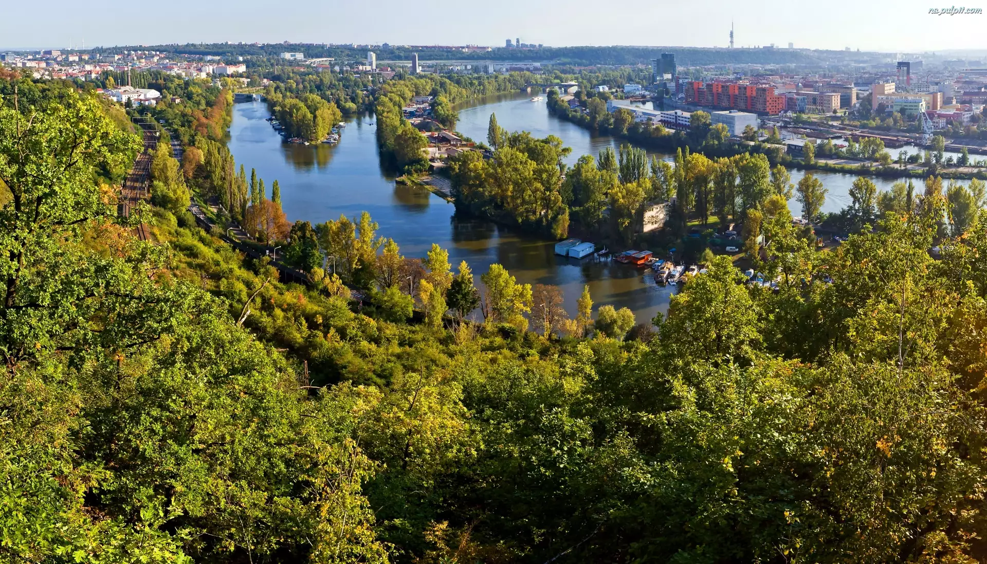Miasto, Panorama, Rzeka, Drzewa