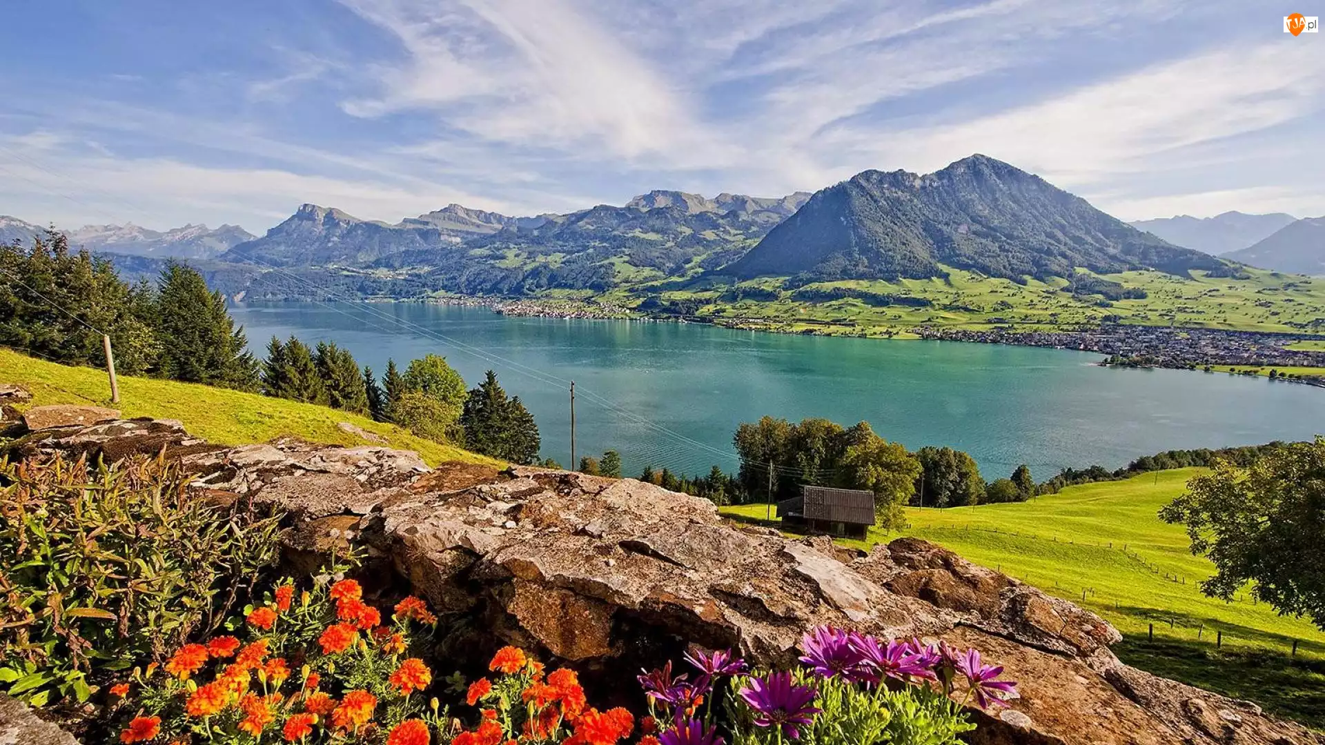 Szwajcaria, Gory, Jezioro, Panorama
