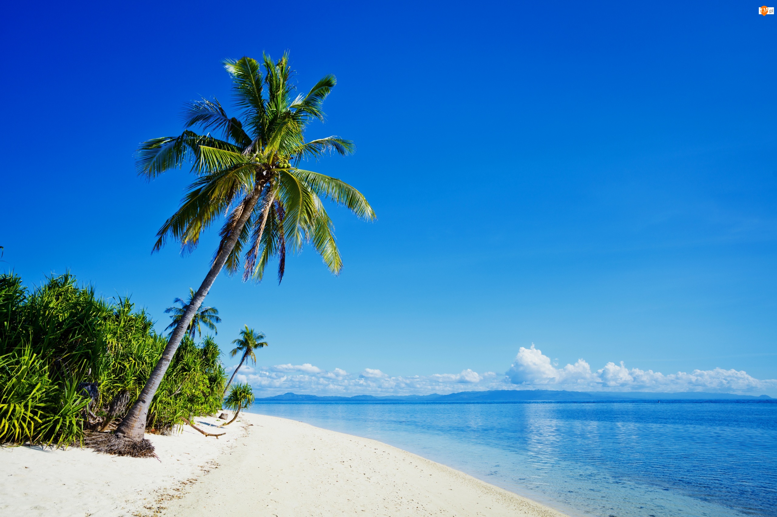 Filipiny, Palmy, Morze, Plaża