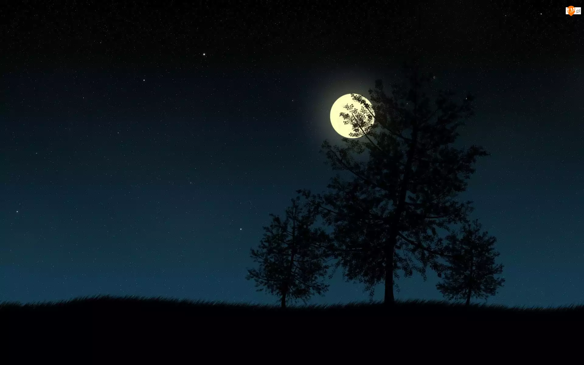 Drzewa, Księżyc, Noc