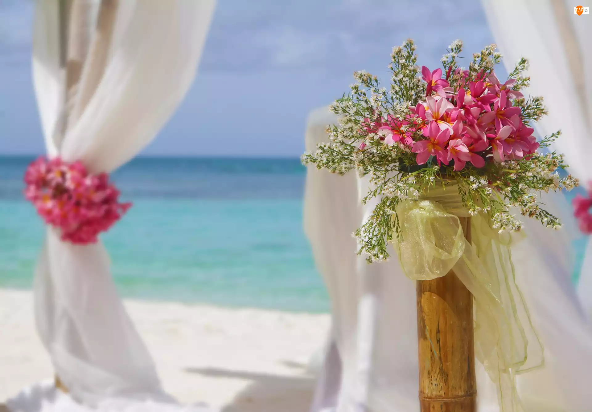 Różowych, Bukiet, Plaża, Ślub, Kwiatów, Morze